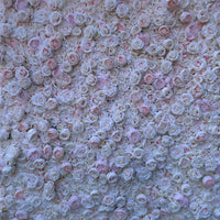 Soft Pink Flower Wall - Starlight Flower Walls